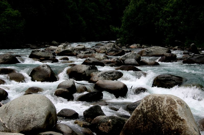070404 Hope Hatcher Montana Creek (10129)